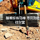 踏着珍珠马蹄 寻觅到绝佳财富(图4) 踏着珍珠马蹄 寻觅到绝佳财富(图4)