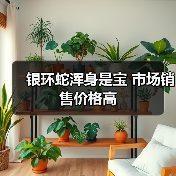 银环蛇浑身是宝 市场销售价格高(图4) 银环蛇浑身是宝 市场销售价格高(图4)