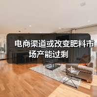 电商渠道或改变肥料市场产能过剩（图2）