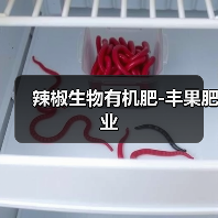 辣椒生物有机肥-丰果肥业（图1）