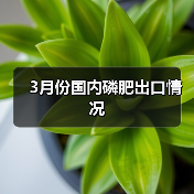 3月份国内磷肥出口情况（图2）