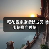 稻花香家族添新成员 哈市将推广种植(图2) 稻花香家族添新成员 哈市将推广种植(图2)