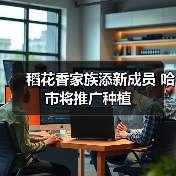 稻花香家族添新成员 哈市将推广种植(图4) 稻花香家族添新成员 哈市将推广种植(图4)