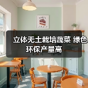 立体无土栽培蔬菜 绿色环保产量高(图1) 立体无土栽培蔬菜 绿色环保产量高(图1)