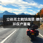 立体无土栽培蔬菜 绿色环保产量高(图3) 立体无土栽培蔬菜 绿色环保产量高(图3)