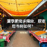 夏季肥需求释放,尿素后市将如何?(图2) 夏季肥需求释放,尿素后市将如何?(图2)