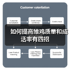 如何提高雏鸡质量和成活率有四招（图2）