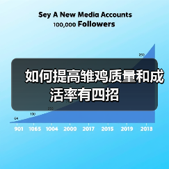 如何提高雏鸡质量和成活率有四招（图1）
