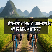 供应相对充足 国内氯化钾价格小幅下行(图4) 供应相对充足 国内氯化钾价格小幅下行(图4)