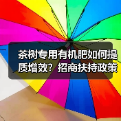 茶树专用有机肥如何提质增效？招商扶持政策全解析（图4）
