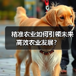 精准农业如何引领未来高效农业发展?(图4) 精准农业如何引领未来高效农业发展?(图4)