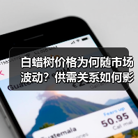 白蜡树价格为何随市场波动?供需关系如何影响行情?(图4) 白蜡树价格为何随市场波动?供需关系如何影响行情?(图4)