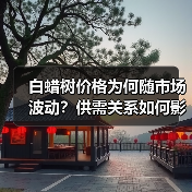 白蜡树价格为何随市场波动?供需关系如何影响行情?(图3) 白蜡树价格为何随市场波动?供需关系如何影响行情?(图3)
