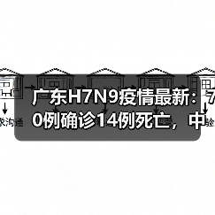 广东H7N9疫情最新:70例确诊14例死亡,中医药如何助力救治?(图1) 广东H7N9疫情最新:70例确诊14例死亡,中医药如何助力救治?(图1)