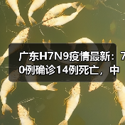 广东H7N9疫情最新:70例确诊14例死亡,中医药如何助力救治?(图4) 广东H7N9疫情最新:70例确诊14例死亡,中医药如何助力救治?(图4)