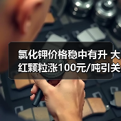 氯化钾价格稳中有升 大红颗粒涨100元/吨引关注（图4）