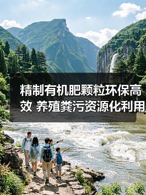 精制有机肥颗粒环保高效 养殖粪污资源化利用新方案（图2）