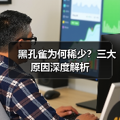 黑孔雀为何稀少？三大原因深度解析