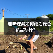 湘味辣酱如何成为绿色食品标杆?(图3) 湘味辣酱如何成为绿色食品标杆?(图3)