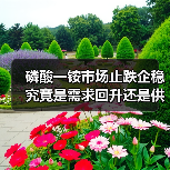 磷酸一铵市场止跌企稳 究竟是需求回升还是供应缩减?(图4) 磷酸一铵市场止跌企稳 究竟是需求回升还是供应缩减?(图4)