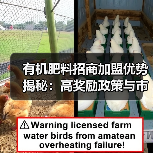有机肥料招商加盟优势揭秘:高奖励政策与市场保护全面解析(图4) 有机肥料招商加盟优势揭秘:高奖励政策与市场保护全面解析(图4)