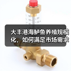 大丰港海鲈鱼养殖规模化,如何满足市场需求?(图1) 大丰港海鲈鱼养殖规模化,如何满足市场需求?(图1)