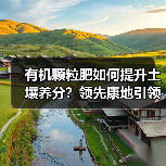 有机颗粒肥如何提升土壤养分?领先康地引领高效种植新趋势(图1) 有机颗粒肥如何提升土壤养分?领先康地引领高效种植新趋势(图1)