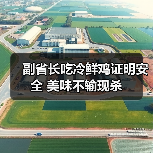 副省长吃冷鲜鸡证明安全 美味不输现杀（图3）