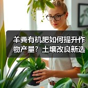 羊粪有机肥如何提升作物产量?土壤改良新选择(图3) 羊粪有机肥如何提升作物产量?土壤改良新选择(图3)