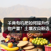 羊粪有机肥如何提升作物产量?土壤改良新选择(图2) 羊粪有机肥如何提升作物产量?土壤改良新选择(图2)