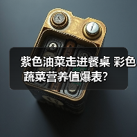 紫色油菜走进餐桌 彩色蔬菜营养值爆表?(图3) 紫色油菜走进餐桌 彩色蔬菜营养值爆表?(图3)