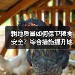 耕地质量持续下滑如何破解？土壤退化威胁粮食安全-绿源新宇生物有机肥官网