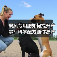果蔬专用肥如何提升产量?科学配方助你高产稳产(图2) 果蔬专用肥如何提升产量?科学配方助你高产稳产(图2)