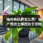 鸡粪有机肥怎么用?增产增效土壤改良全攻略(图2) 鸡粪有机肥怎么用?增产增效土壤改良全攻略(图2)