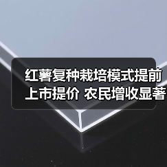 红薯复种栽培模式提前上市提价 农民增收显著（图1）