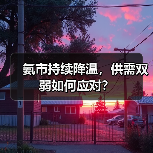 氨市持续降温，供需双弱如何应对？（图2）