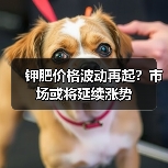 钾肥价格波动再起？市场或将延续涨势（图1）