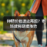 钾肥价格波动再起？市场或将延续涨势（图3）