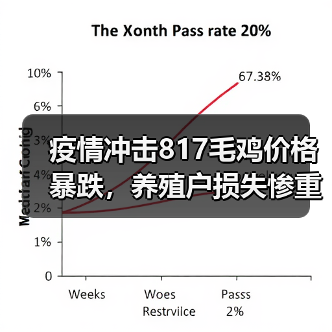疫情冲击817毛鸡价格暴跌,养殖户损失惨重(图4) 疫情冲击817毛鸡价格暴跌,养殖户损失惨重(图4)