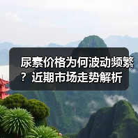 尿素价格为何波动频繁？近期市场走势解析（图2）
