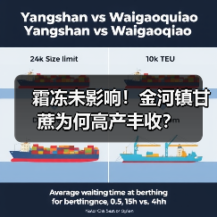 霜冻未影响！金河镇甘蔗为何高产丰收？（图2）