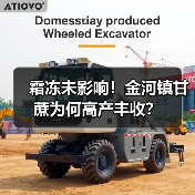 霜冻未影响！金河镇甘蔗为何高产丰收？（图4）