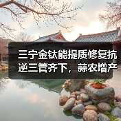 三宁金钛能提质修复抗逆三管齐下，蒜农增产增收有保障（图3）