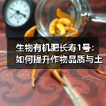 生物有机肥长寿1号:如何提升作物品质与土壤健康(图4) 生物有机肥长寿1号:如何提升作物品质与土壤健康(图4)