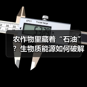 农作物里藏着“石油”?生物质能源如何破解能源危机(图4) 农作物里藏着“石油”?生物质能源如何破解能源危机(图4)