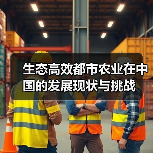 生态高效都市农业在中国的发展现状与挑战(图1) 生态高效都市农业在中国的发展现状与挑战(图1)