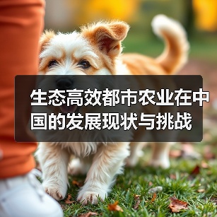 生态高效都市农业在中国的发展现状与挑战(图3) 生态高效都市农业在中国的发展现状与挑战(图3)