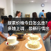 尿素价格今日怎么走？多地上调，最新行情出炉（图3）