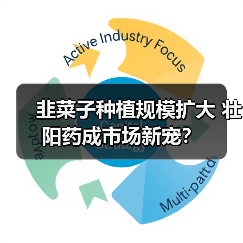 韭菜子种植规模扩大 壮阳药成市场新宠?(图2) 韭菜子种植规模扩大 壮阳药成市场新宠?(图2)