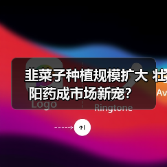 韭菜子种植规模扩大 壮阳药成市场新宠?(图1) 韭菜子种植规模扩大 壮阳药成市场新宠?(图1)